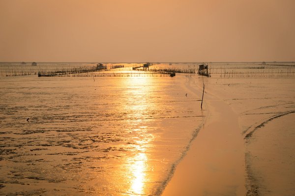 Astuces et Conseils : Préparez des Vacances en Camping Inoubliables